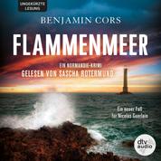 Flammenmeer - Ein Normandie-Krimi