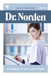 Aufregung in den ersten Tagen - Dr. Norden 102 – Arztroman