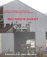 Big Ned's Guest