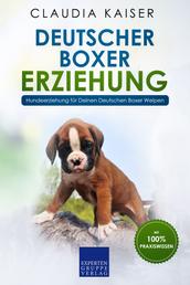 Deutscher Boxer Erziehung: Hundeerziehung für Deinen Deutschen Boxer Welpen