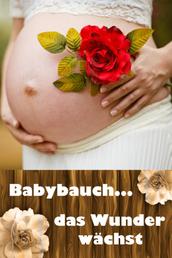 Babybauch...das Wunder wächst - Alles rund um Schwangerschaft, Geburt und Babyschlaf! (Schwangerschafts-Ratgeber)