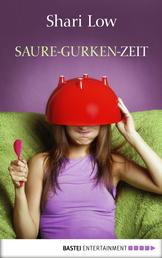 Saure-Gurken-Zeit - Roman