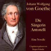 Johann Wolfgang von Goethe: Die Sängerin Antonelli - Eine Novelle. Ungekürzt gelesen