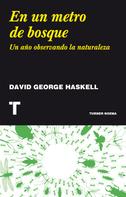 David George Haskell: En un metro de bosque 