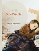 Hector Malot: Sans Famille 