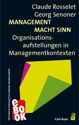 Management Macht Sinn - Organisationsaufstellungen in Managementkontexten