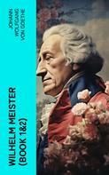 Johann Wolfgang von Goethe: Wilhelm Meister (Book 1&2) 