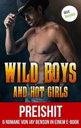 Wild Boys and Hot Girls - Sechs Romane von Jay Benson in einem eBook