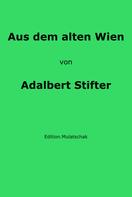 Adalbert Stifter: Aus dem alten Wien 