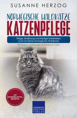 Norwegische Waldkatze Katzenpflege – Pflege, Ernährung und häufige Krankheiten rund um Deine Norwegische Waldkatze