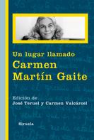 José Teruel: Un lugar llamado Carmen Martín Gaite 