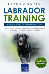 Labrador Training – Hundetraining für Deinen Labrador - Wie Du durch gezieltes Hundetraining eine einzigartige Beziehung zu Deinem Labrador aufbaust