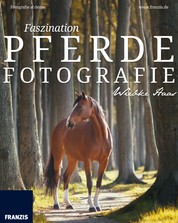 Faszination Pferdefotografie - So machen Sie die Liebe zum Tier für andere Menschen sichtbar