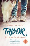 Britt Collins: Tabor, die kleine Straßenkatze ★★★★