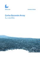 Carlos Recamán Arcay: La niebla 
