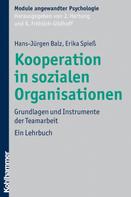 Hans-Jürgen Balz: Kooperation in sozialen Organisationen 
