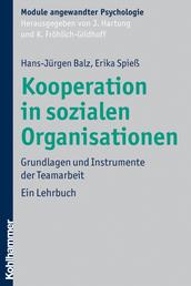 Kooperation in sozialen Organisationen - Grundlagen und Instrumente der Teamarbeit