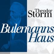 Bulemanns Haus - Theodor Storm: Novellen