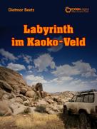 Dietmar Beetz: Labyrinth im Kaoko-Veld ★★★★★
