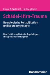 Schädel-Hirn-Trauma - Neurologische Rehabilitation und Neuropsychologie. Eine Einführung für Ärzte, Psychologen, Therapeuten und Pflegende