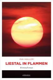 Liestal in Flammen - Kriminalroman
