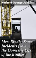 Herbert George Jenkins: Mrs. Bindle: Some Incidents from the Domestic Life of the Bindles 