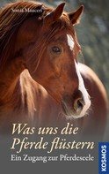 Sonia Mauceri: Was uns die Pferde flüstern ★★★★