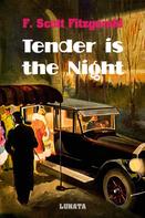 F. Scott Fitzgerald: Tender is the night 