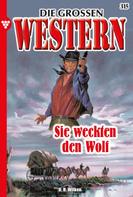 U.H. Wilken: Die großen Western 315 ★★★★