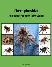 Theraphosidae - Fugleedderkopper, New world