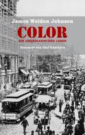 James Weldon Johnson: Color - Ein amerikanisches Leben 