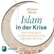 Islam in der Krise - Eine Weltreligion zwischen Radikalisierung und stillem Rückzug