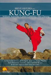 Breve Historia de Kung-Fu