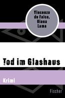 Vincenzo de Falco: Tod im Glashaus ★★★