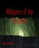Ted Colias: Whispers of the Forgotten 