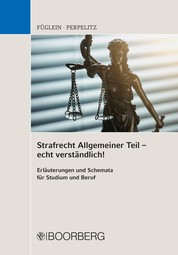 Strafrecht Allgemeiner Teil - echt verständlich! - Erläuterungen und Schemata für Studium und Beruf