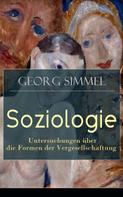 Georg Simmel: Soziologie - Untersuchungen über die Formen der Vergesellschaftung ★★★