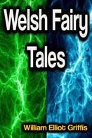 William Elliot Griffis: Welsh Fairy Tales 