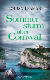 Sommersturm über Cornwall - Roman