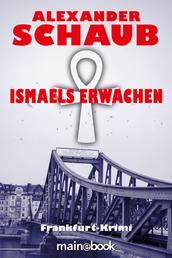 Ismaels Erwachen - Frankfurt-Krimi
