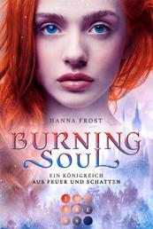 Burning Soul (Ein Königreich aus Feuer und Schatten 1) - Berührende Romantasy über die verbotene Liebe zwischen einer Assassinin und einem Fae-Prinzen