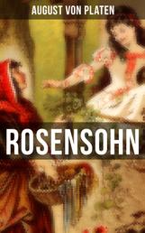 ROSENSOHN - Ein fantastischer Roman