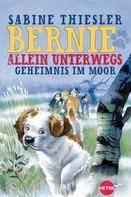Sabine Thiesler: Bernie allein unterwegs - Geheimnis im Moor ★★★★★