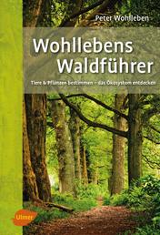 Wohllebens Waldführer - Der Spiegel-Bestseller. Tiere und Pflanzen bestimmen – das Ökosystem entdecken