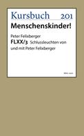 Peter Felixberger: FLXX 3 | Schlussleuchten von und mit Peter Felixberger 