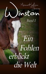 Winston - Ein Fohlen erblickt die Welt - Pferdebuchserie in drei Bänden