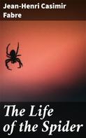Jean-Henri Casimir Fabre: The Life of the Spider 
