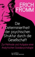 Rainer Funk: Die Determiniertheit der psychischen Struktur durch die Gesellschaft. 