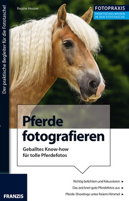 Foto Praxis Pferde fotografieren