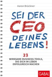 Sei der CEO deines Lebens! - 33 wirksame Business-Tools, die dich im Leben erfolgreich machen